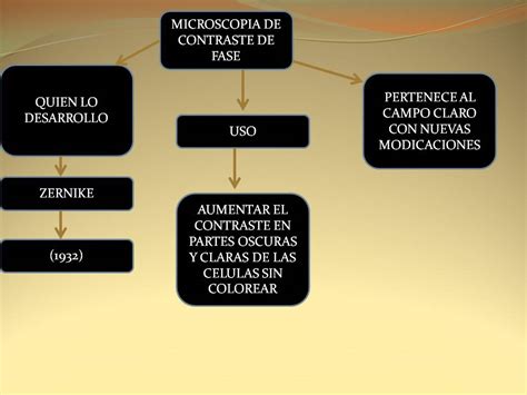 Biologia Celular Mapas De Microscopia Hot Sex Picture