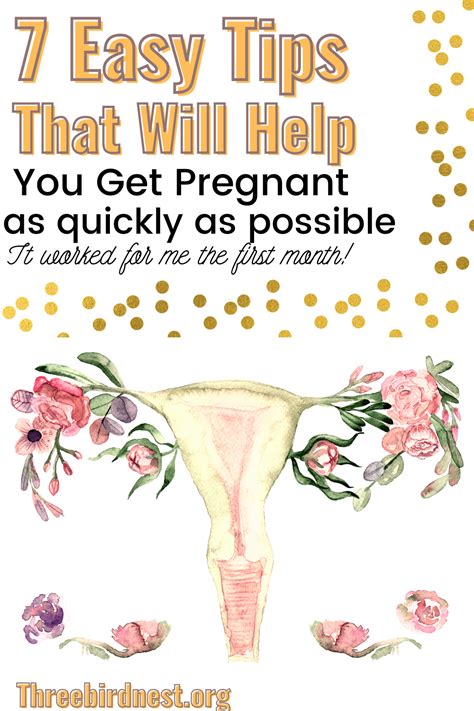 7 Tips For Getting Pregnant Faster This Little Nest