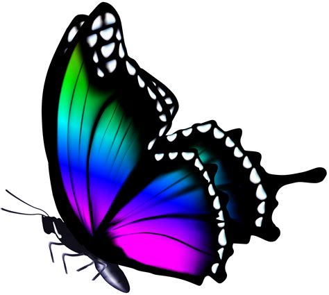 Colorful Butterfly Png Clip Art Image Gallery Yopriceville High