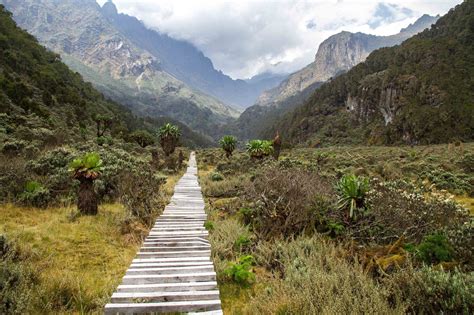 Mountains Of The Moon The Rwenzori Mountain Range Across Africa