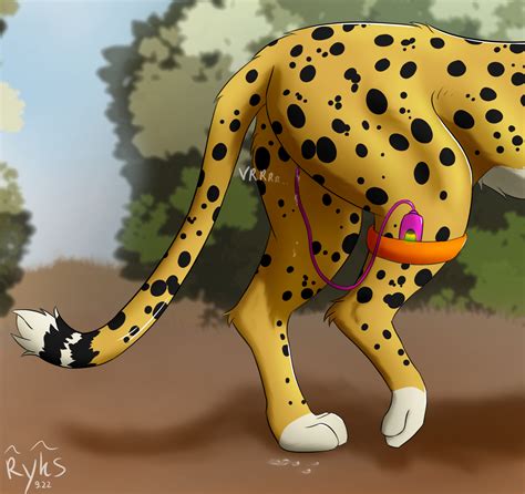 Rule 34 Ambiguous Fluids Ambiguous Gender Ass Cheetah Domestic Cat Felid Feline Felis Female