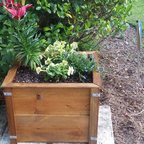 Best flowers for planter boxes australia. Custom planter boxes | Custom planters, Plants, Planter boxes