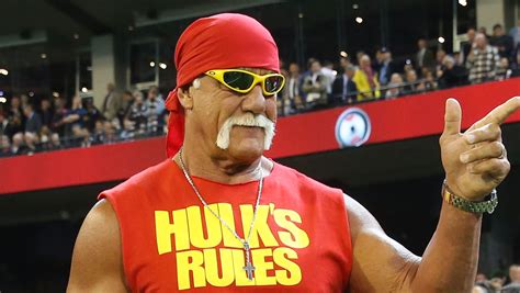 Hulk Hogan Fidelmapatula