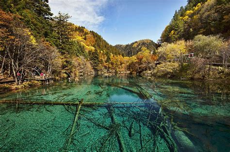 Lacs De La Vallée De Jiuzhaigou Sichuan Chine Parcs Nationaux