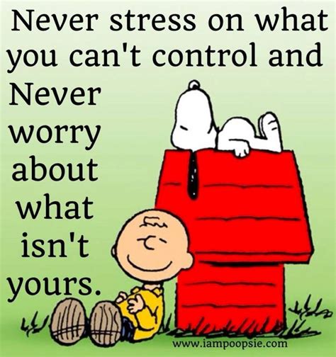 Funny Quotes About Stress And Worry Shortquotescc