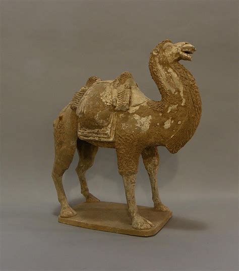 In this video taylor dunn walks you through how to use keepa and camel camel camel to source for amazon fba. Lot - A good pottery model of a bactrian camel the grey