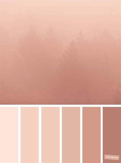 Color Scheme Blush Pink Color Palette Kbdaffhrsups