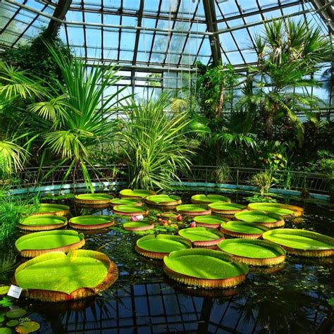 Grădina Botanică Din Cluj Splendoarea Verde A Timpurilor Trecute și