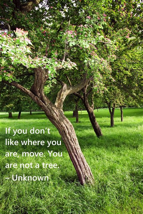 No physical product will be sent. If you don't like where you are, move. You are not a tree. #Quote | Tree, Plants, Words