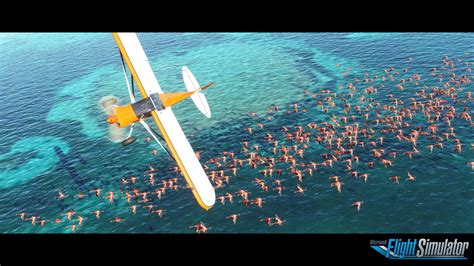 Microsoft Flight Simulator Asobo Parla Di Ray Tracing Scalabilità E