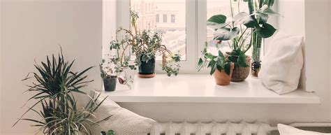Das geeignetste Material für eine Fensterbank - Dein Service