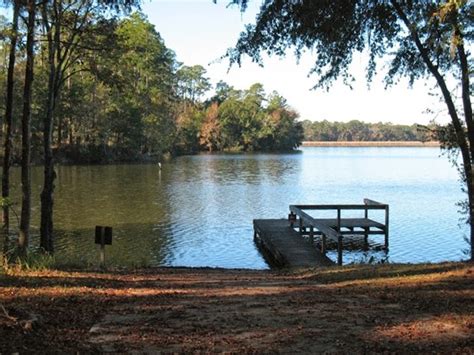Lake Talquin State Forest Tallahassee Fl