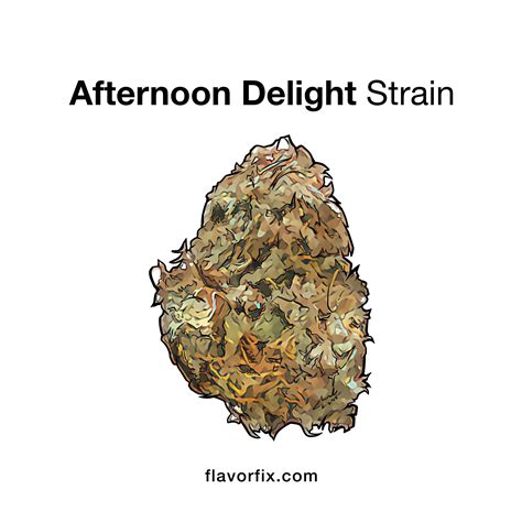 afternoon delight strain ratings and pairings flavor fix