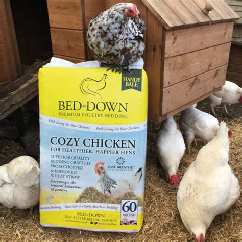 Buy Chicken Bedding Online Poultry Bedding Cozy Chicken