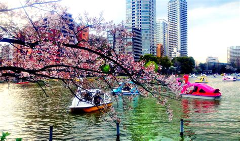 Ueno Park Boat Rides