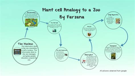 Check spelling or type a new query. Plant Cell Analogy to a Zoo by Farzana Sharefe
