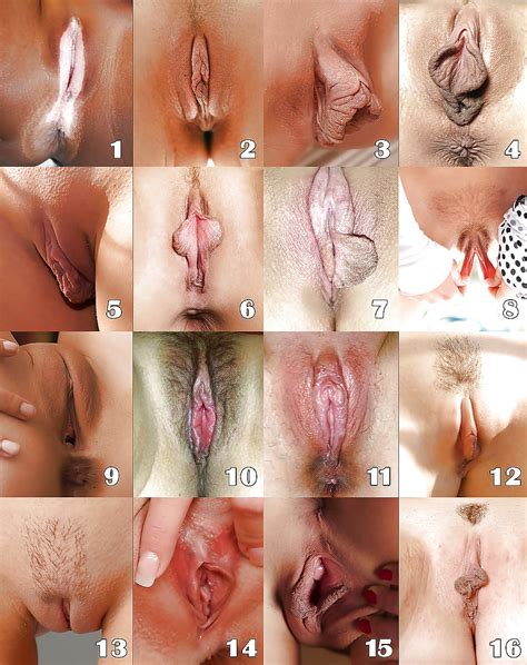See And Save As Select Your Favorite Pussy Shape Porn Pict 4crot