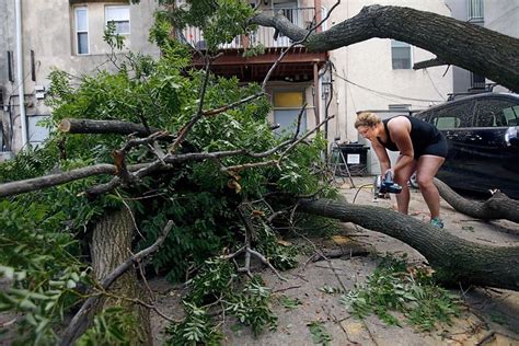 Gusty Storms Knock Down Trees Knock Out Power