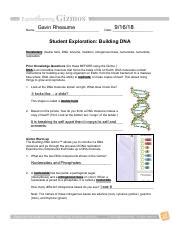 The rna primer is replaced with dna nucleotides. Student Exploration Building Dna Answer Key Quizlet + My PDF Collection 2021