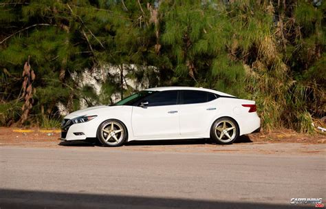 Lowered Nissan Maxima Side