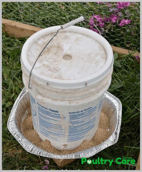For cups, i recommend drilling your holes a lot lower than is pictured. 10 DIY Chicken Feeder And Waterer Plans And Ideas ...