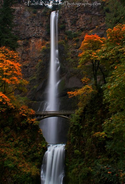 Fall Foliage At Multnomah Falls Scott C Miller Pacific Northwest