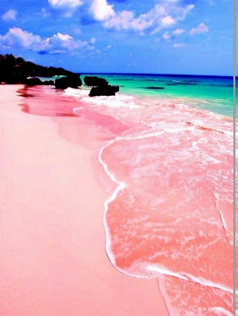 Pink Sand Beach Bahamas Interestsbeaches