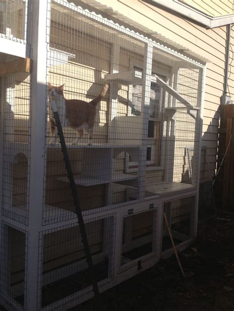 These outdoor cat runs are at the side of the enclosed verandah with a the enclosure is around 4.8m long, 2.25 high and 1m wide. 72 best catio ideas images on Pinterest