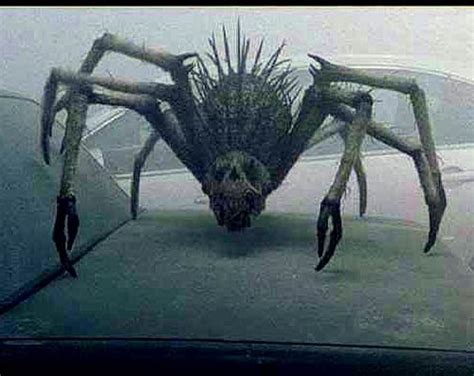 The Mist Movie Creatures Hubpages