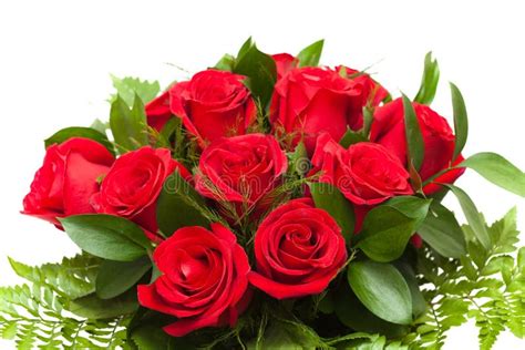 Bunch Of Red Roses In Florist Wrapping Stock Image Image Of