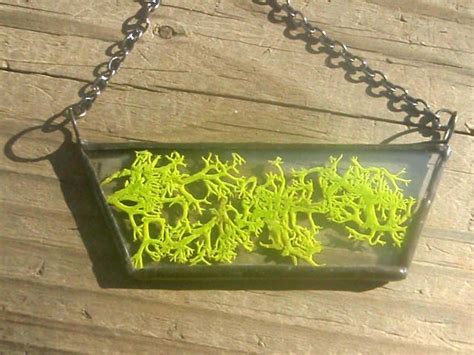 Natural Real Moss Stained Glass Soldered Art Necklace Jewelry Nature