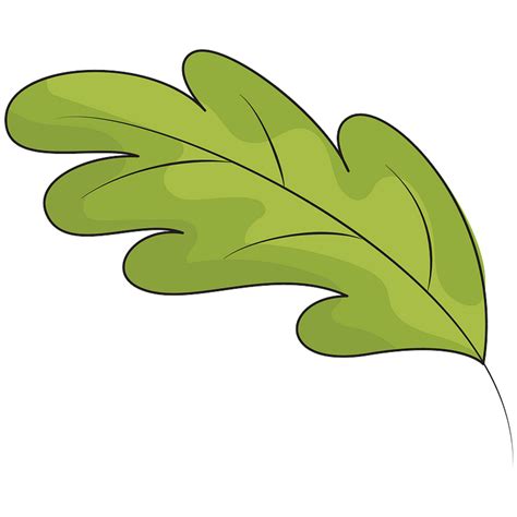 Oak Leaf Png