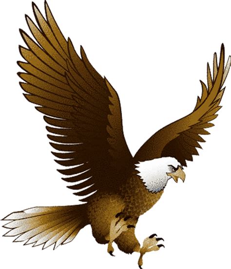 Download High Quality Hawk Clipart Transparent Png Images Art Prim