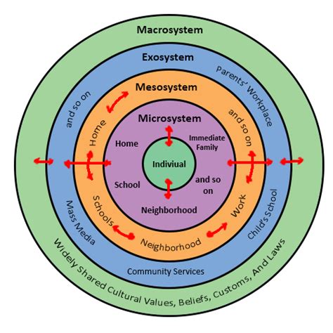 A Simple Diagram To Explain The Relationship Between The Microsystem