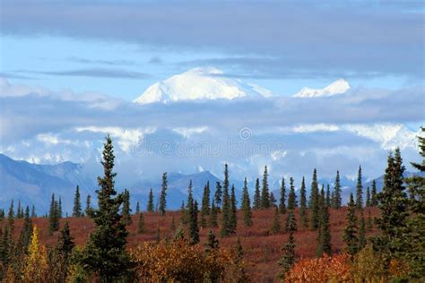 Denali National Park Autumn Landscape In Alaska Stock Image Image Of
