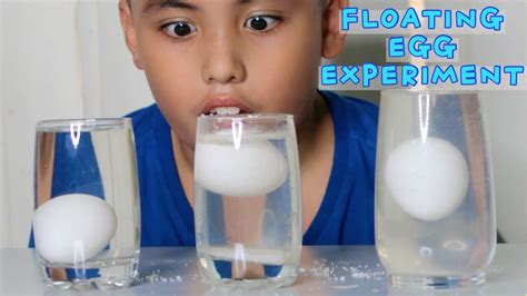 Floating Egg Experiment For Kids Salt Water Egg Experiment Water