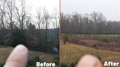 See reviews, photos, directions, phone numbers and more for tree tiger tree removal locations in buford, ga. Clark Tree Experts - Local Tree Removal Service - Buford ...