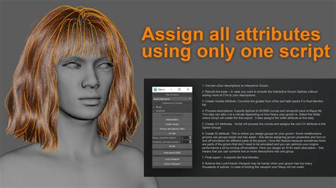 Xgen To Unrealengine Tool Alembic Export Script For Maya Realtime Hair
