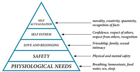 Maslows Hierarchy Adapted After Illustrated Manual Of Nursing