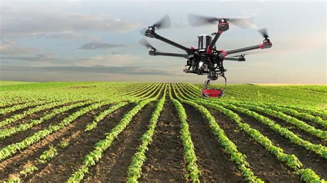 Dronpaco Drones Para Agricultura C Mo Pueden Ayudarte A Mejorar Tus Cultivos