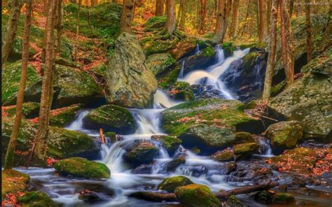 Rocks Landscape Nature Autumn Leaves Stones Rocks Waterfall