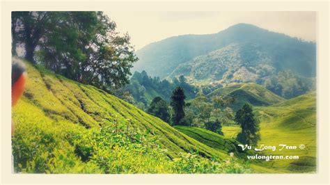 Travelling between kl sentral and cameron highlands is possible by bus and taxi. To Cameron Highlands I go, heading to Cameron Highlands by ...