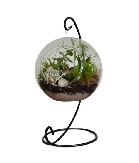 Globe Terrarium On A Candlestick Home And Office Decoration