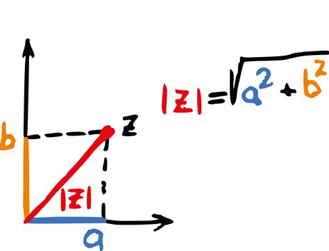 Mathematics Euclidean Vector Formula Middle School Essay Hand Drawn