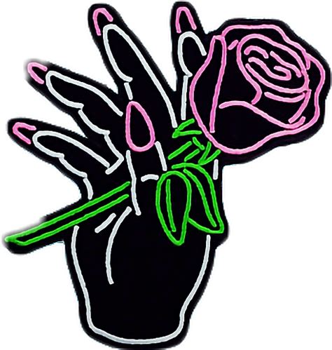 Roses Rosas Freetoedit Roses Sticker By Candefuentes5