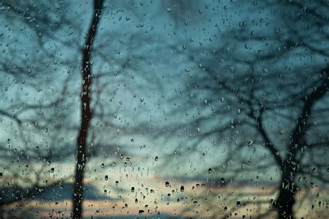 Bare Tree Water Drops Window Trees Rain Hd Wallpaper Wallpaper Flare