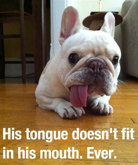 There's a facebook page called important animal images and it's glorious. picture collection: cute animal funny pics