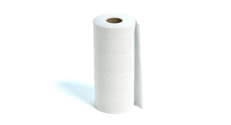 Roll Paper Towels 3d Max