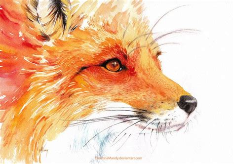 Magnifique Dessin Animal Paintings Animal Drawings Art Drawings Fox