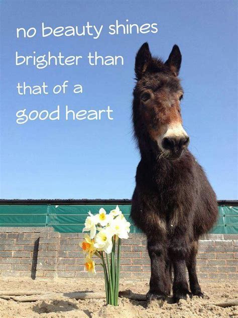 Pin By Dotty Pintar On Quotes To Remember Amazing Animal Pictures